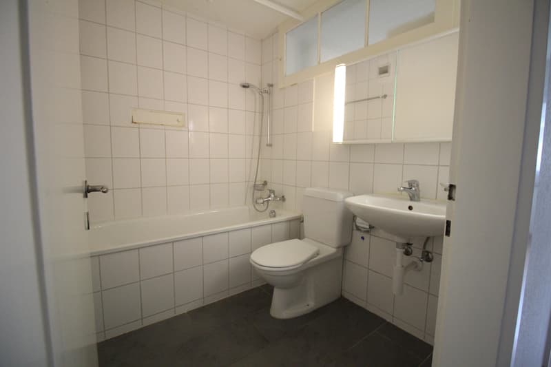 Vivere in un ambiente accogliente nel verde & vivere l'esperienza di Zurigo vicino! (3)