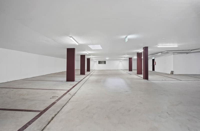 Parcheggi in garage sotterraneo (2)