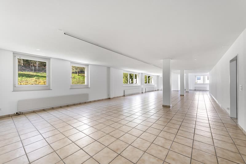 Ihre neue Gewerbe- oder Bürofläche am linken Zürichseeufer (5)