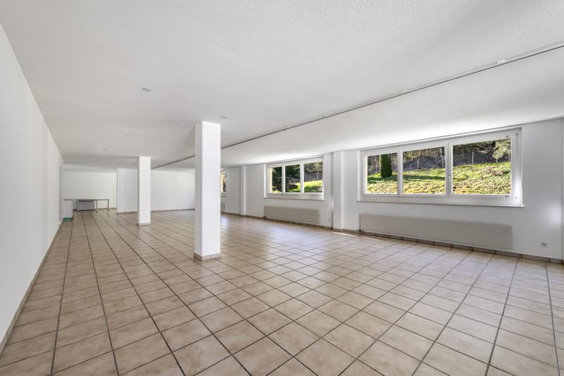 Ihre neue Gewerbe- oder Bürofläche am linken Zürichseeufer (7)