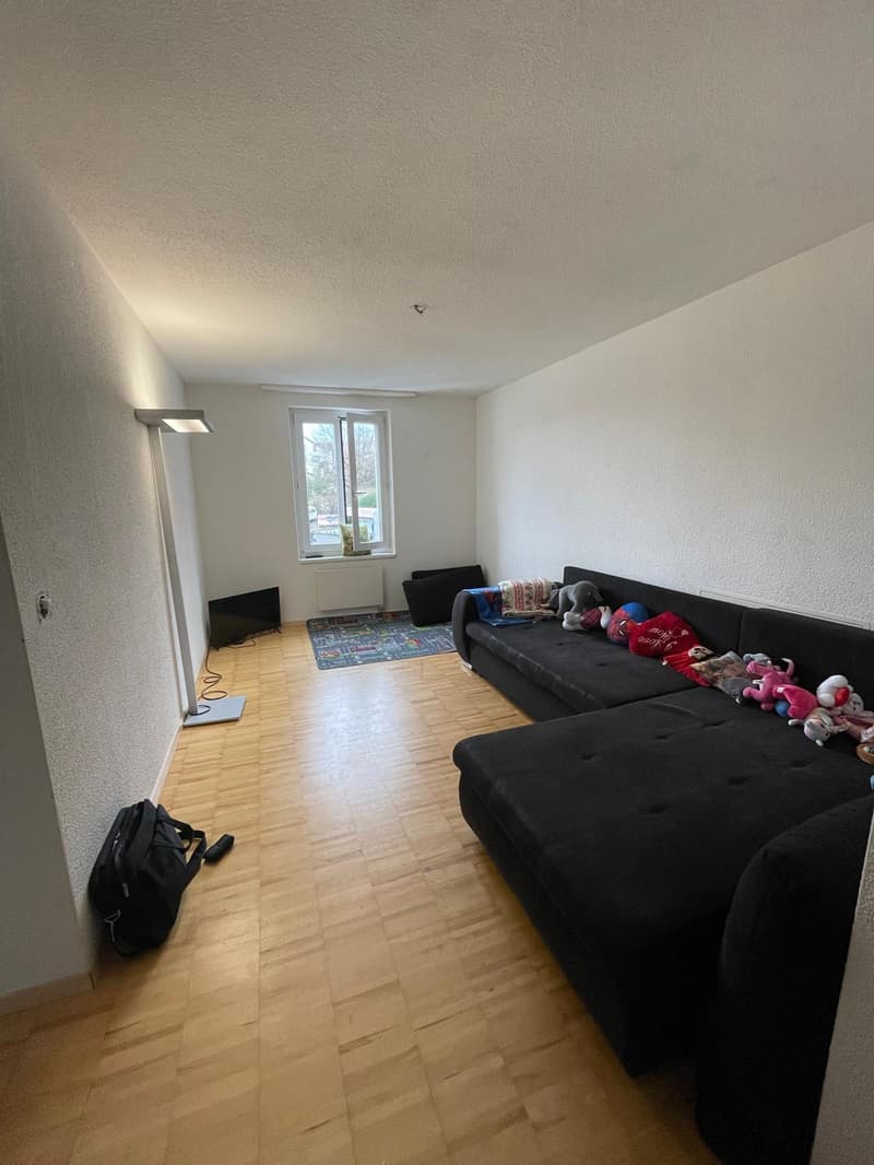 Zentrale 4.5 Zimmerwohnung in Horgen (5)