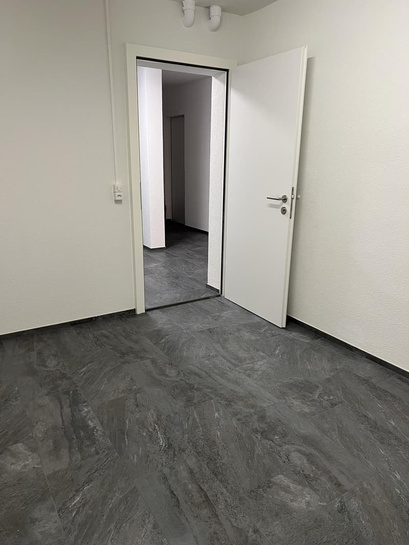 Lagerraum in sanierten Liegenschaft zu vermieten (2)