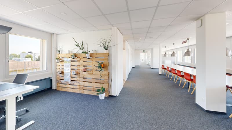 Exclusive office space with rooftop terrace and high-end finishes (5)
