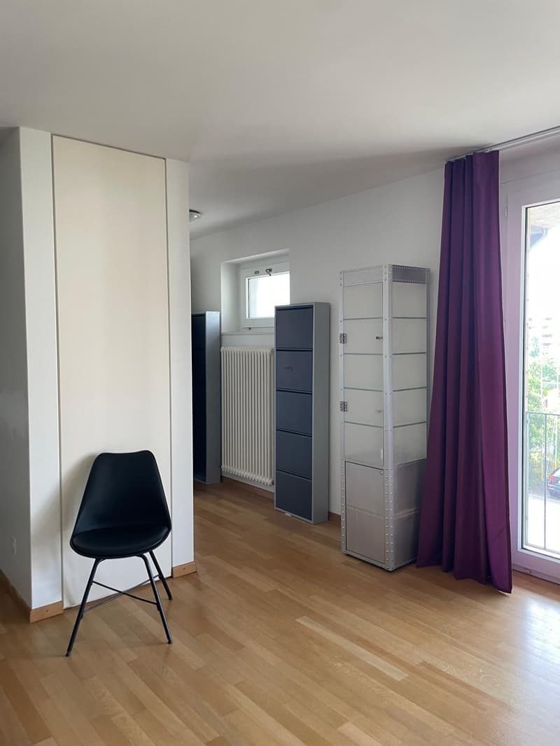 1.5-room apartment in Zurich (5)