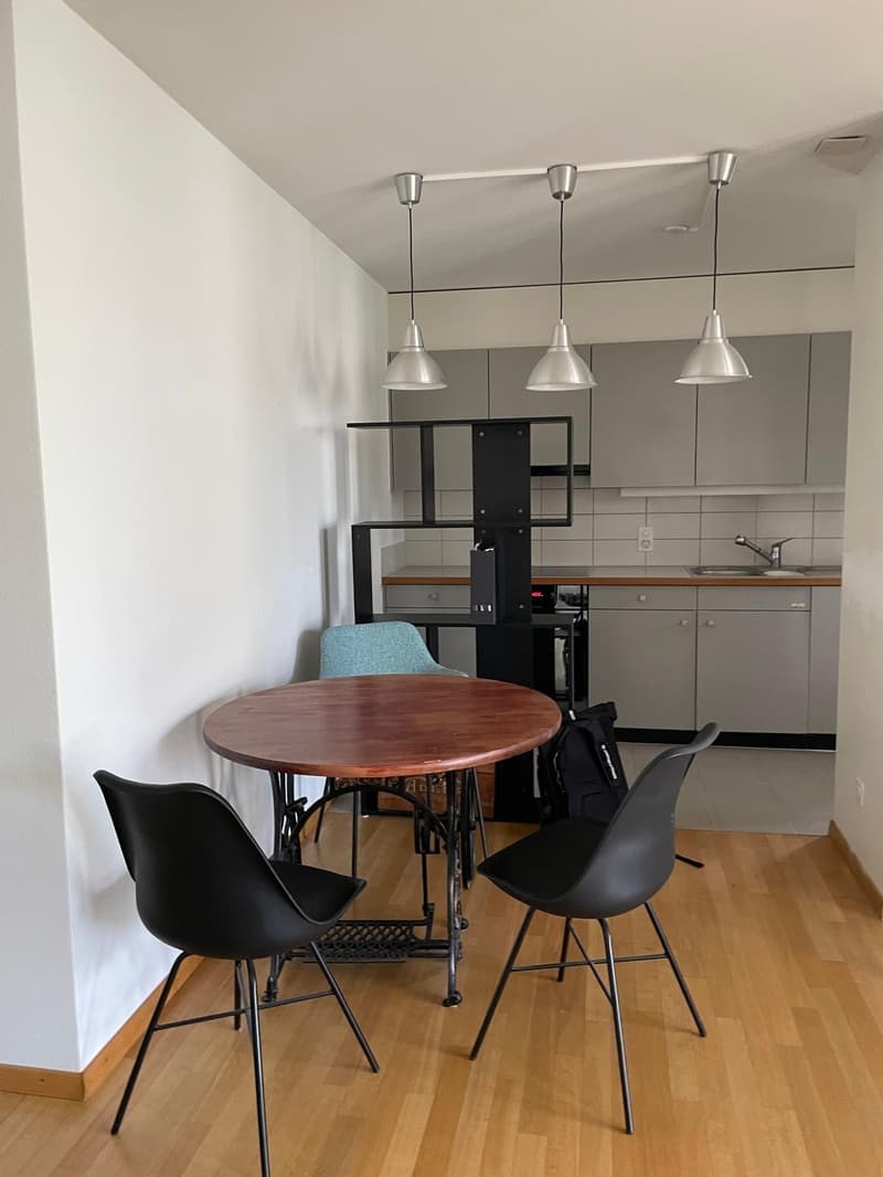 1.5-room apartment in Zurich (4)