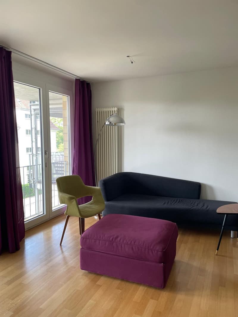 1.5-room apartment in Zurich (3)