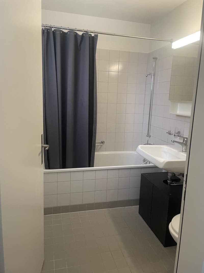 1.5-room apartment in Zurich (6)