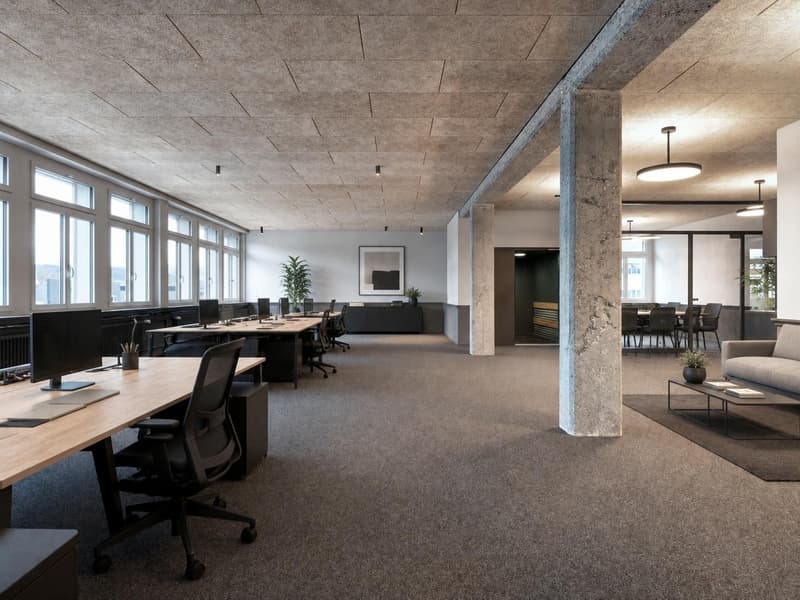 Erstbezug: Hochwertig renoviertes Büro mit grosszügiger Terrasse in Schlieren (2)