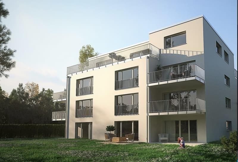 2.5 Zimmerwohnung in Pfaffhausen (1)