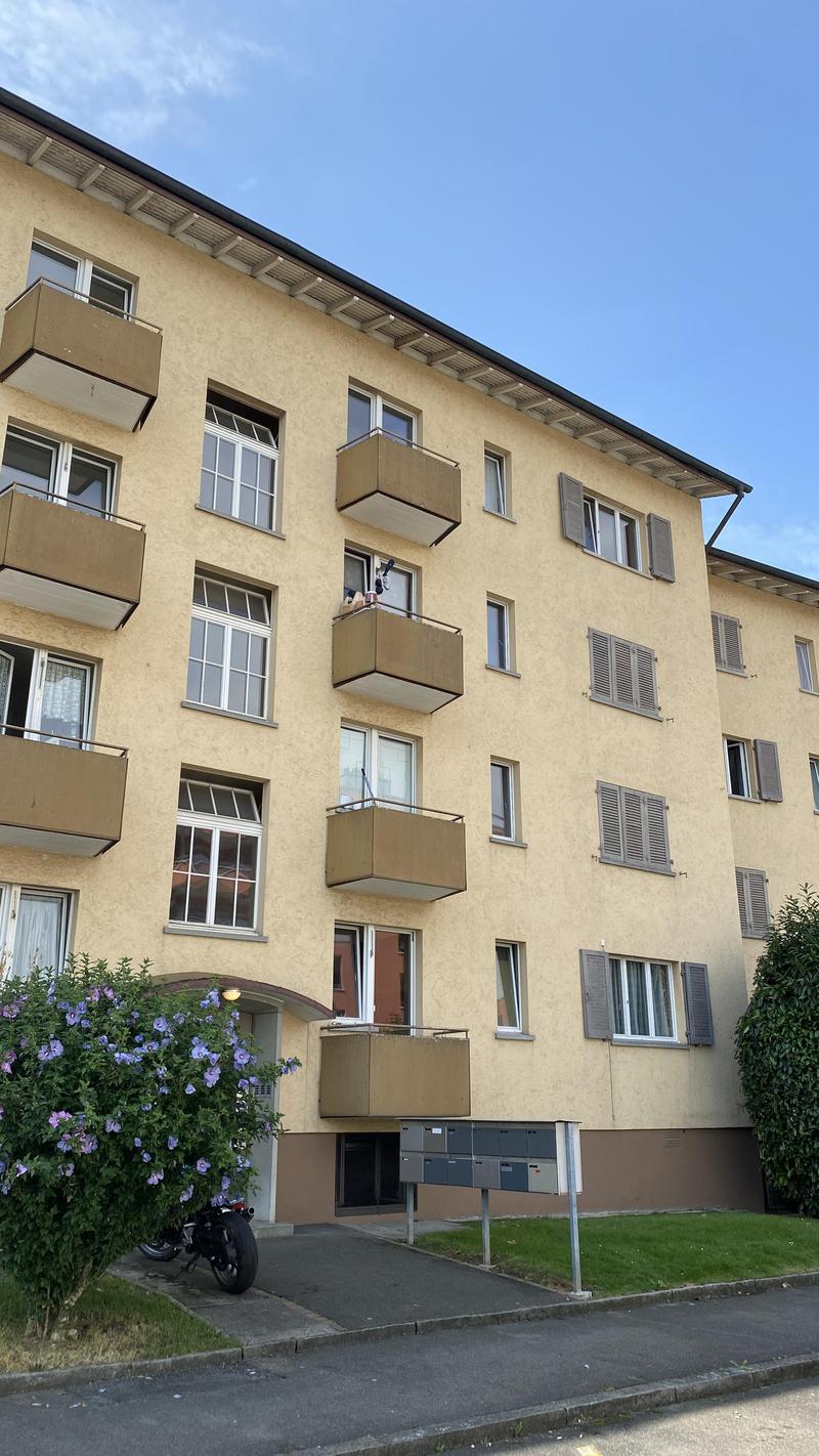Appartamento 2 locali a Schlieren (termine limitato) (1)