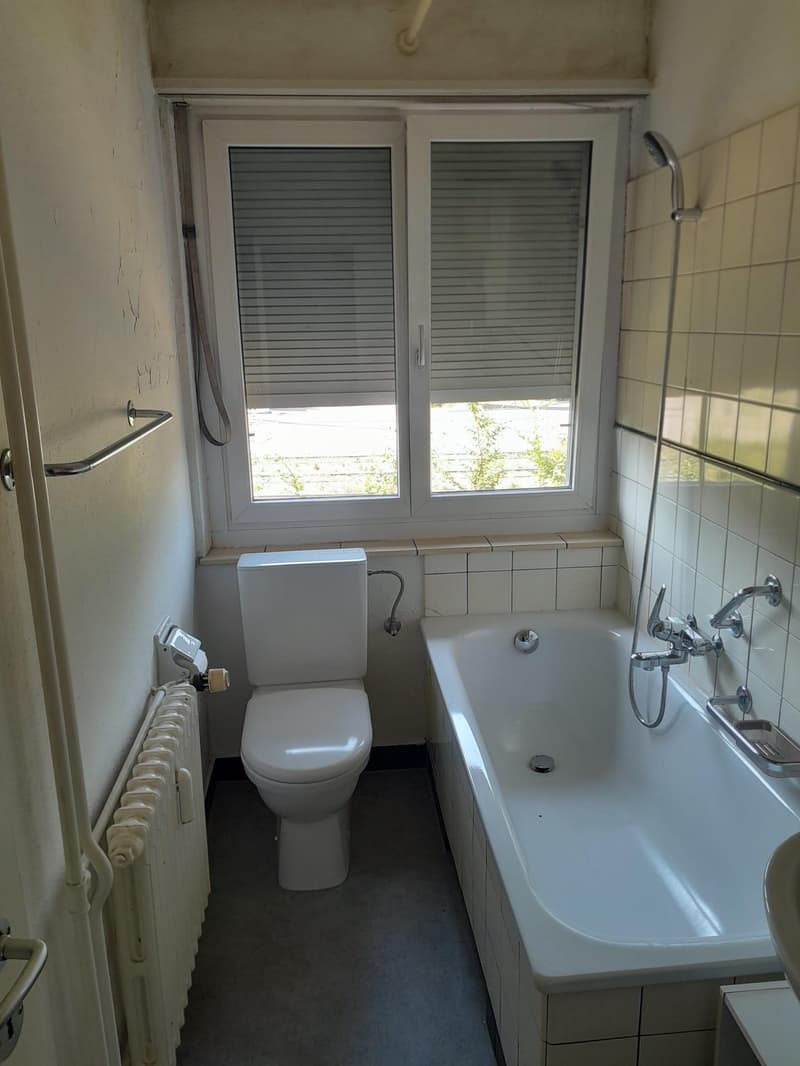 Appartamento 2 locali a Schlieren (termine limitato) (5)