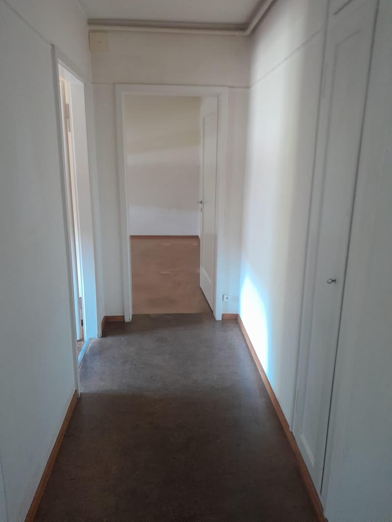 Appartamento 2 locali a Schlieren (termine limitato) (7)