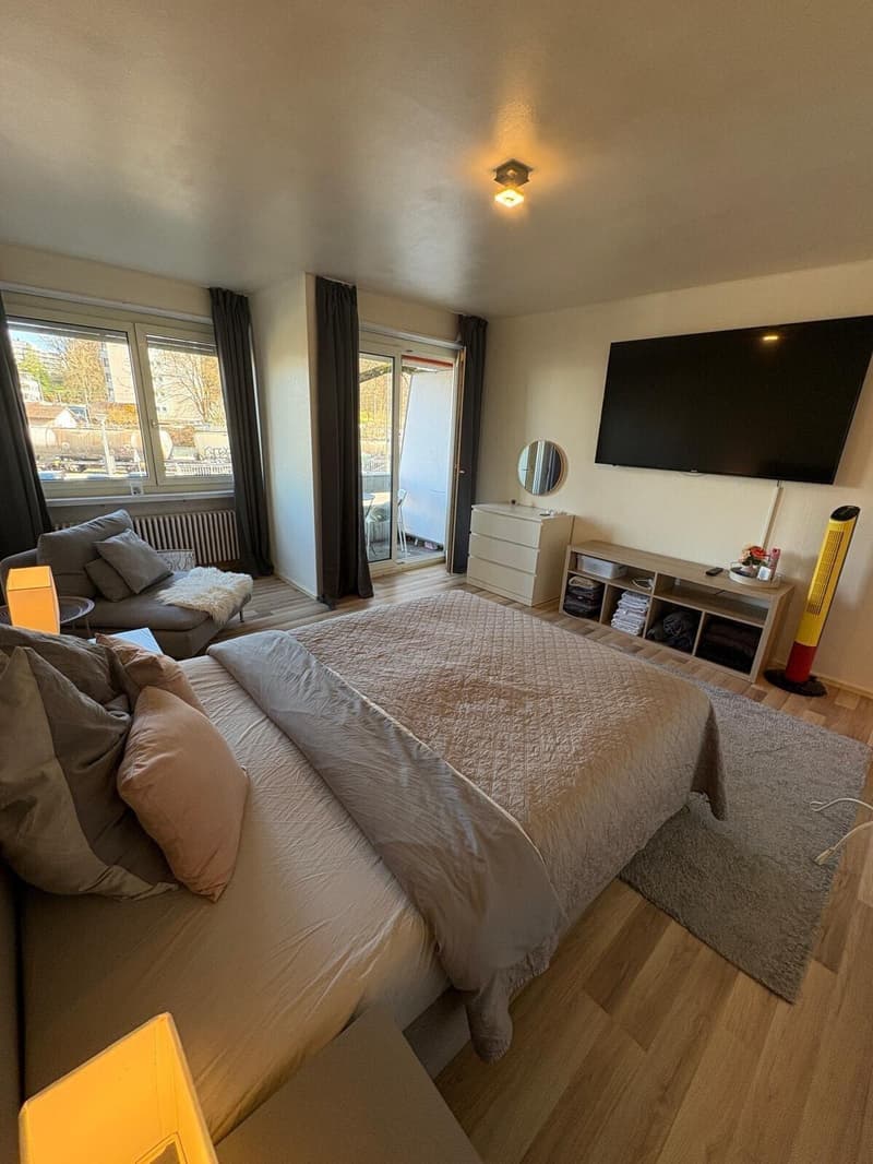Beautifully renovated apartment - right by Kloten train station (3)