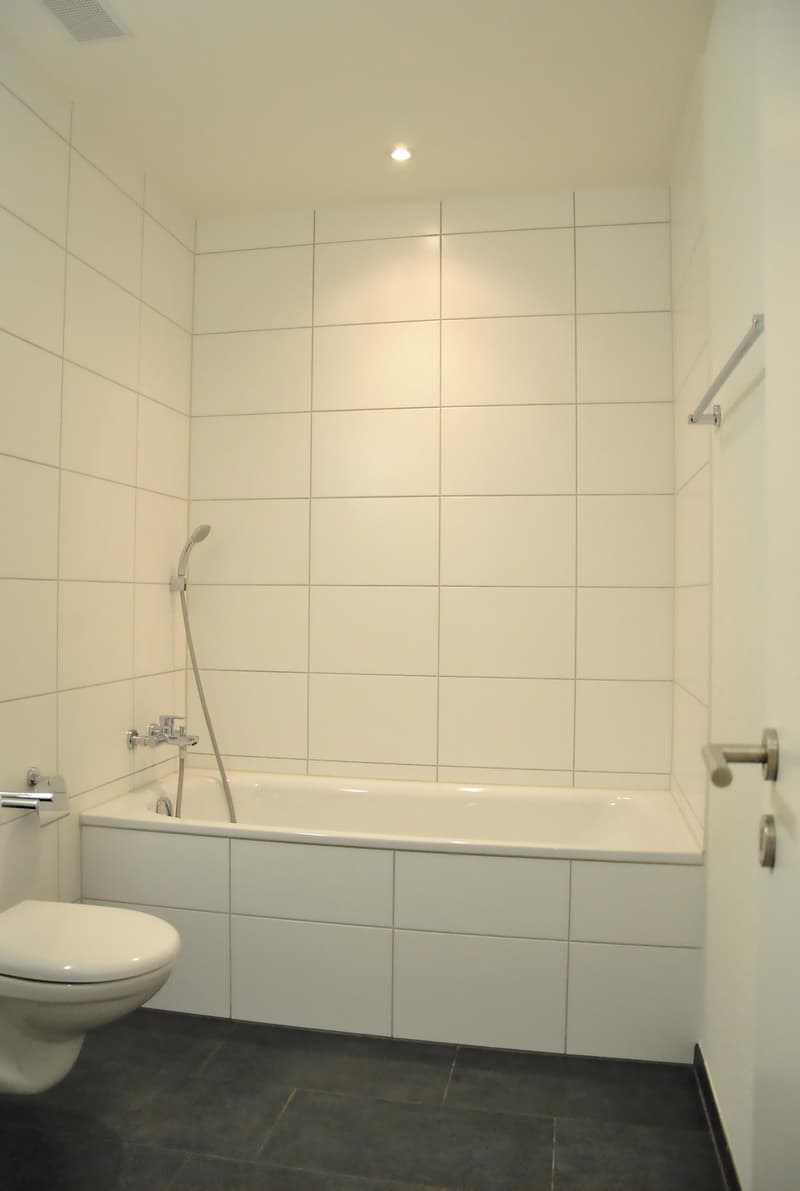 Modern 3.5-room apartment (5)