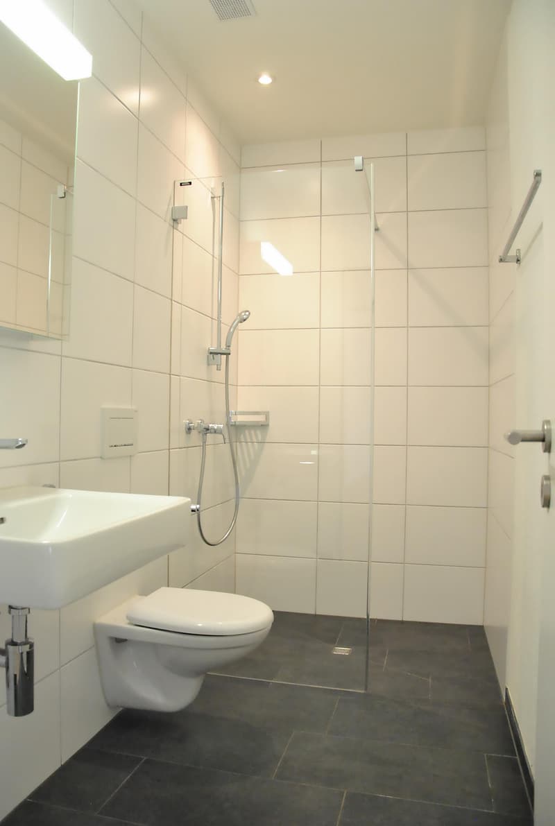 Modern 3.5-room apartment (4)