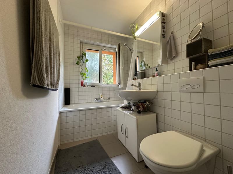 Helle Wohnung mit Balkon in ruhiger Lage von Wetzikon (6)