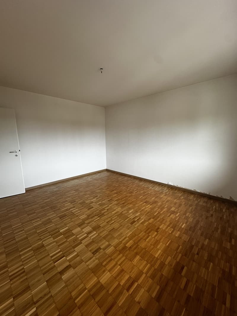 Helle Wohnung mit Balkon in ruhiger Lage von Wetzikon (5)