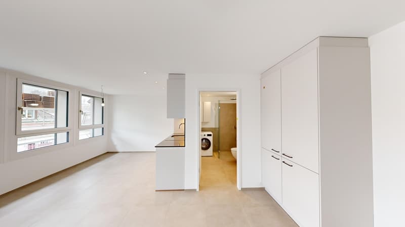 Modern new apartment near lake and city center (3)