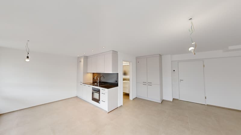 Modern new apartment near lake and city center (2)