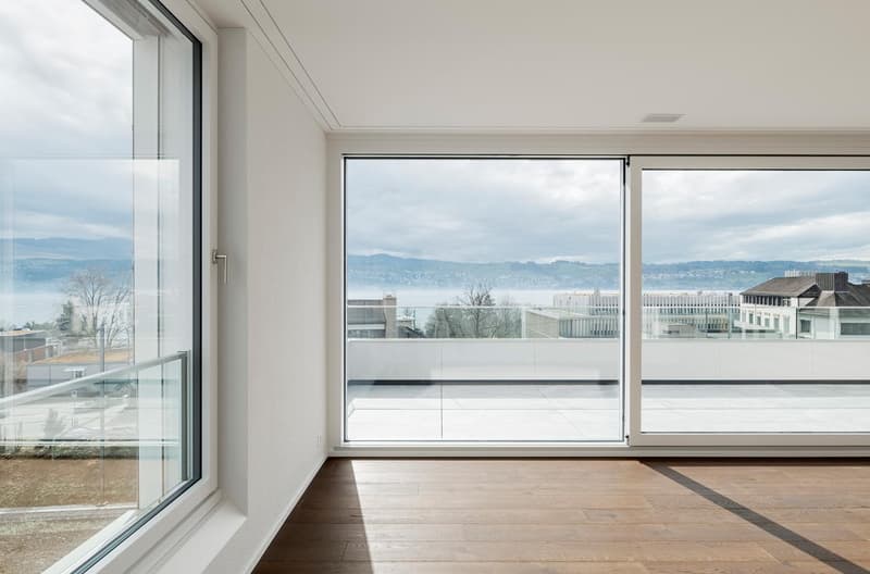 Beautiful, modern apartment in Männedorf (3)