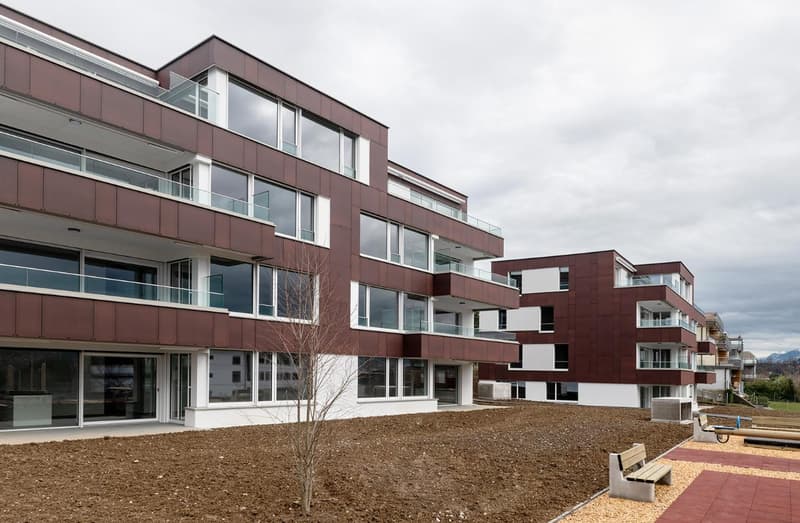 Beautiful, modern apartment in Männedorf (4)