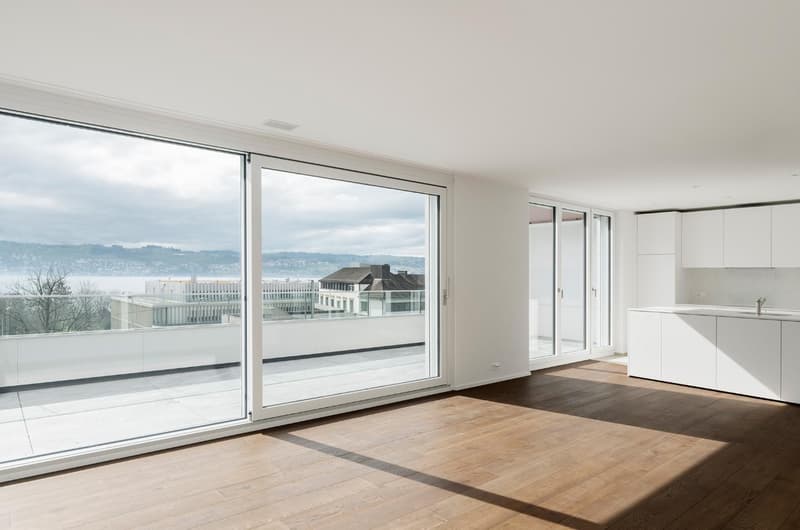 Beautiful, modern apartment in Männedorf (2)