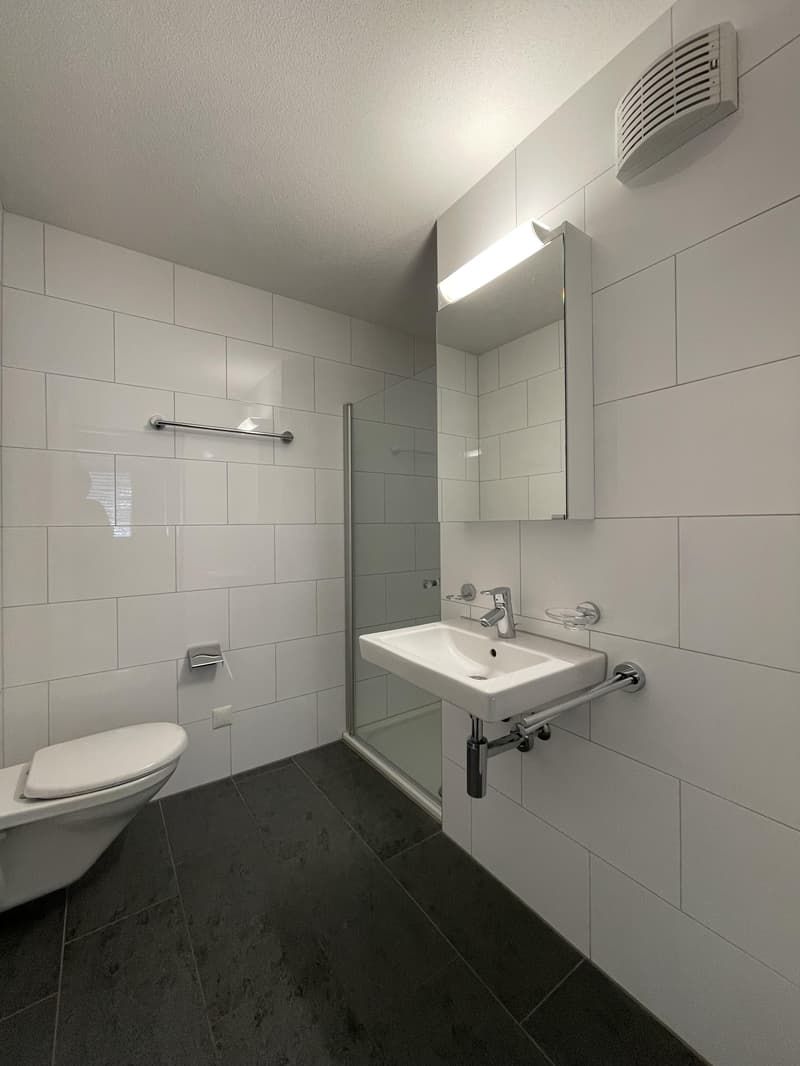 4.5 room apartment in Sursee (6)