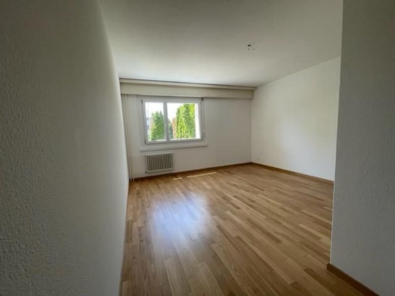 4.0 bedroom apartment in Adlikon b. Regensdorf (3)