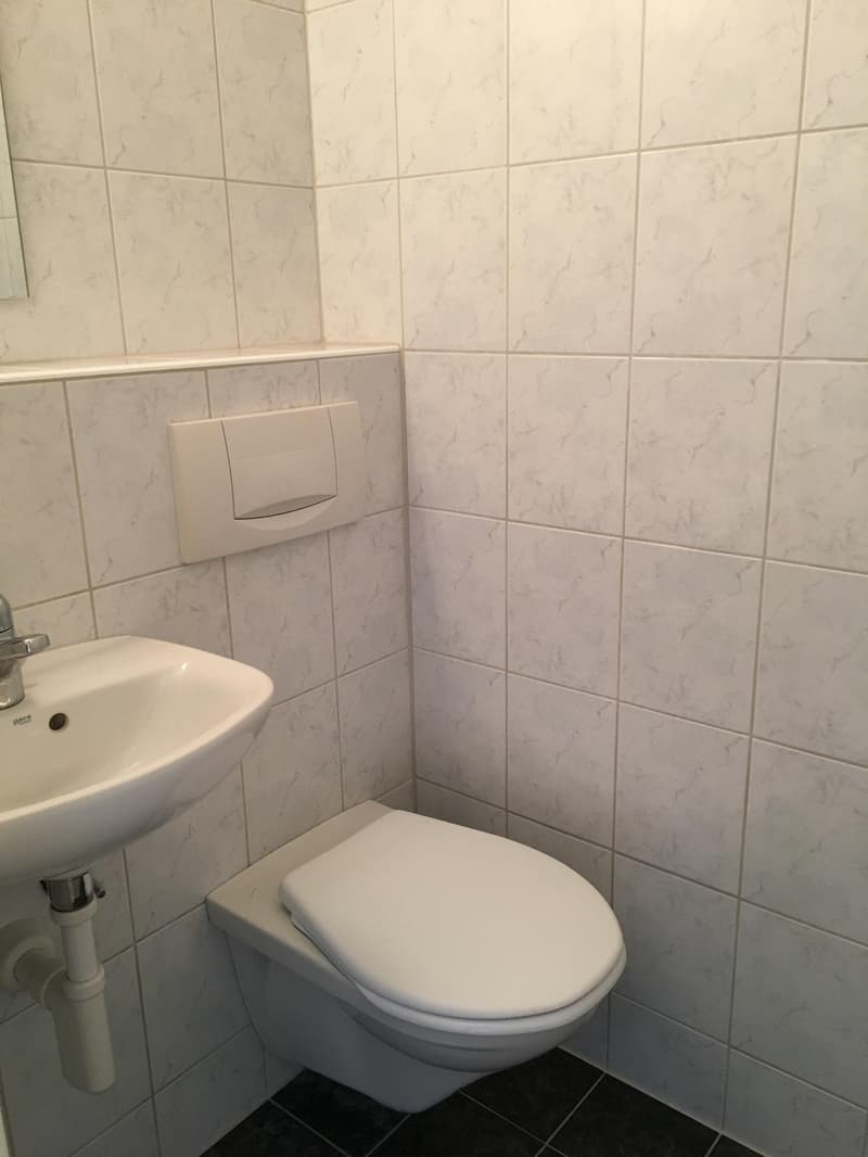 4.0 bedroom apartment in Adlikon b. Regensdorf (8)