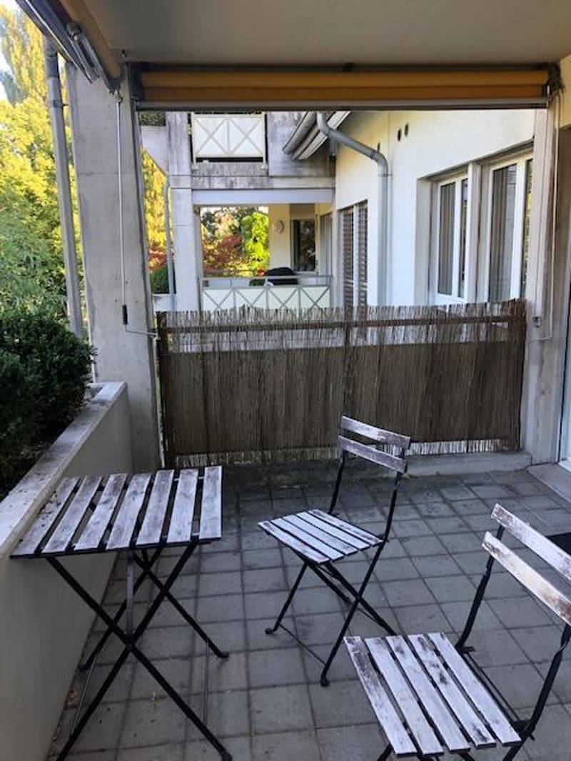 3.5-room apartment with lake view (10)