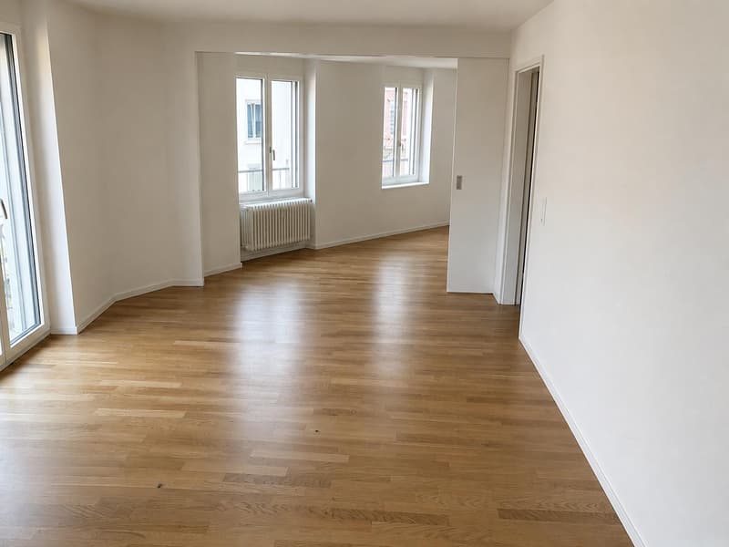 Appartement 2.5 pièces près de Limmatplatz (3)