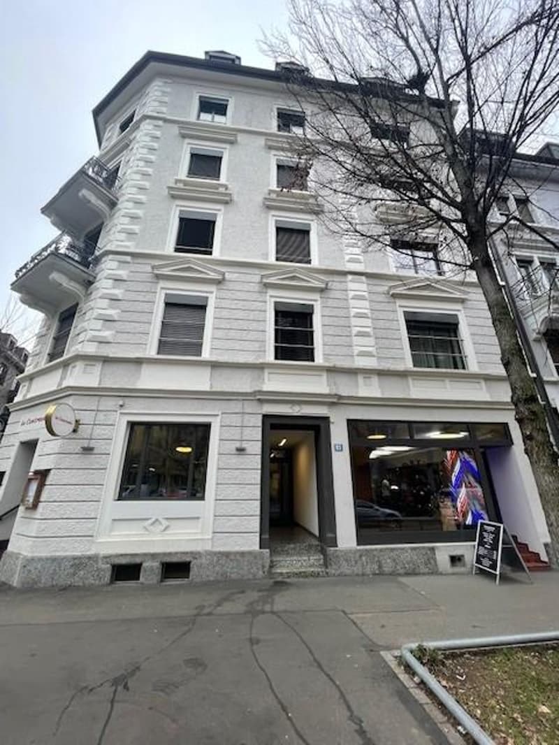 Appartement 2.5 pièces près de Limmatplatz (1)