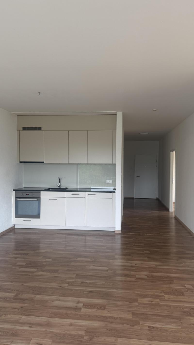 Commercial property in Spreitenbach (2)
