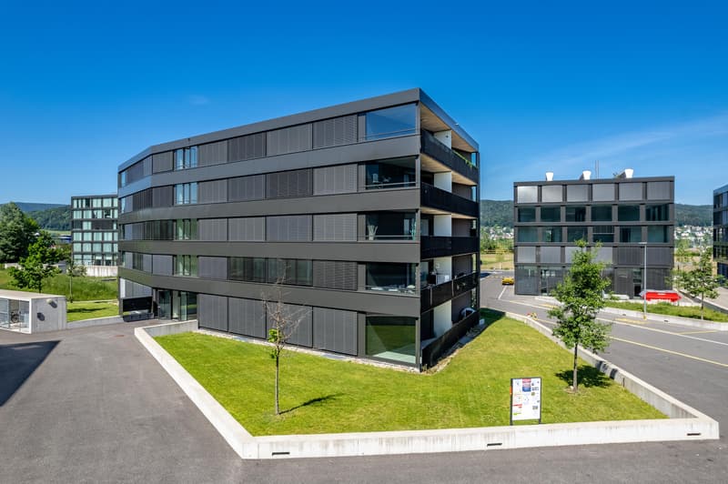 Commercial property in Spreitenbach (1)