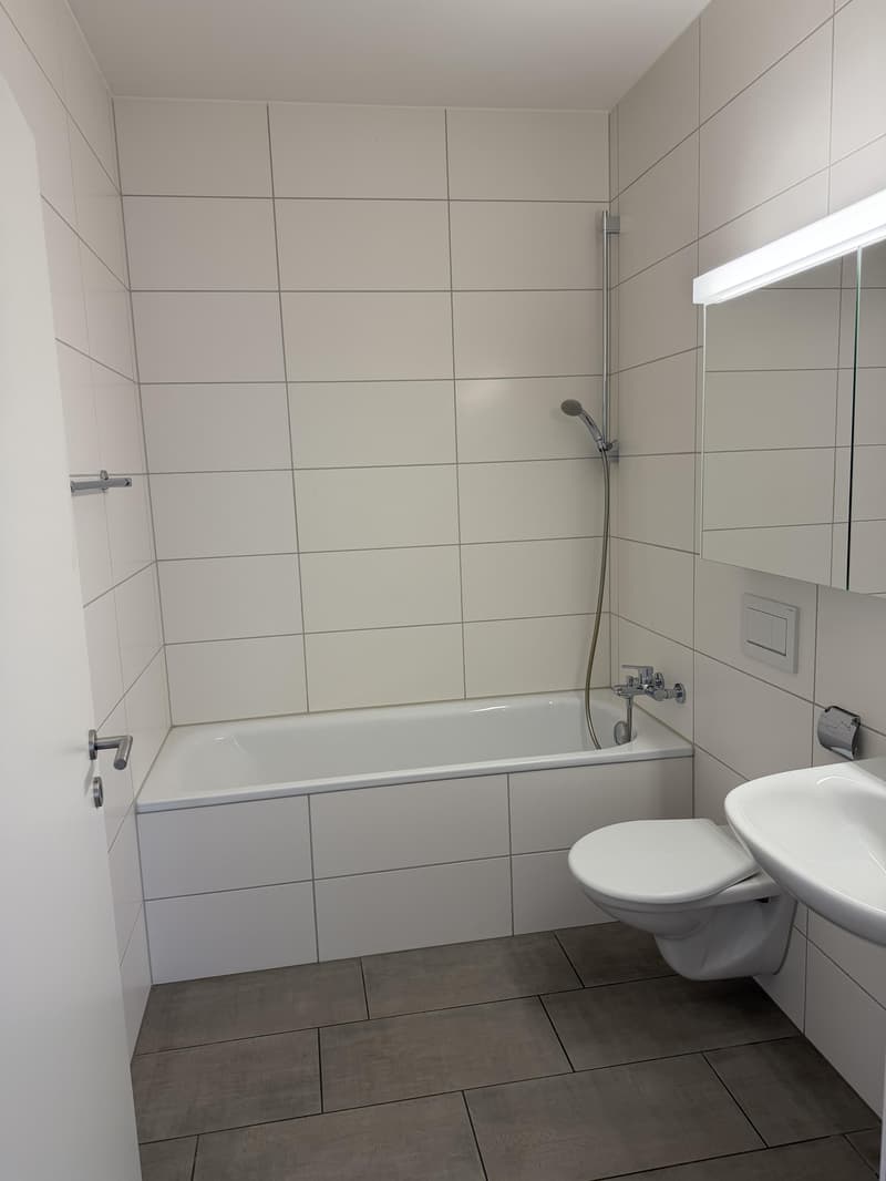 Commercial property in Spreitenbach (6)