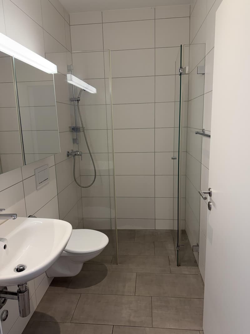 Commercial property in Spreitenbach (5)