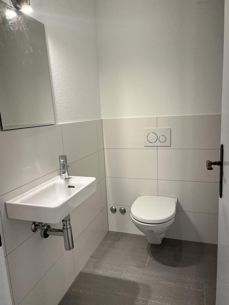 Charming and central 2.5-room apartment in Zürich-Oerlikon (5)