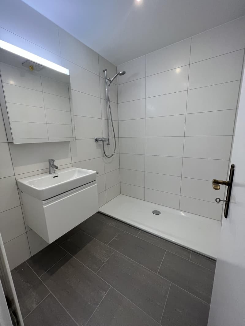 Charming and central 2.5-room apartment in Zürich-Oerlikon (4)