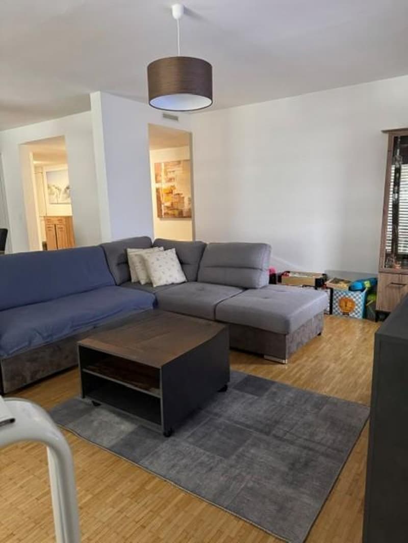 Attraktive 4.5 Zimmerwohnung in Glattbrugg (2)