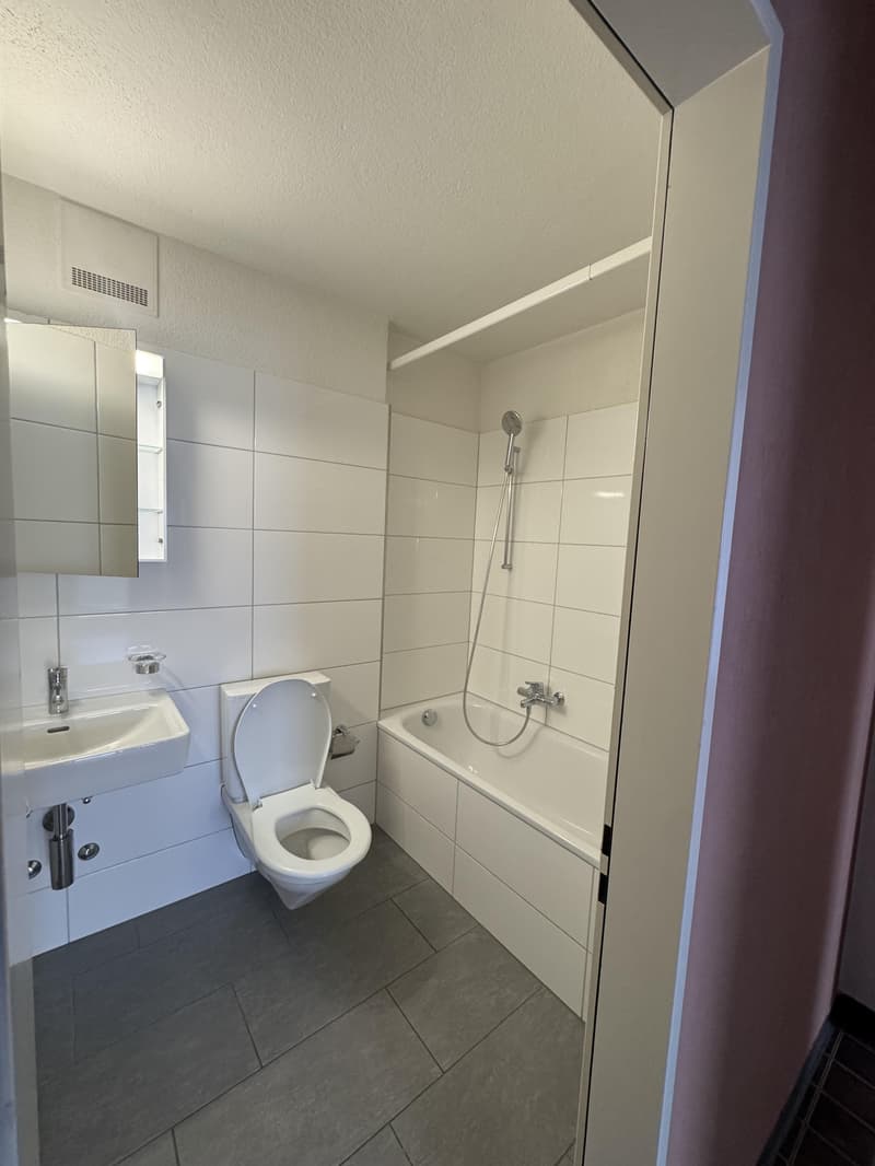 2.0 Zimmerwohnung in Zürich-Wiedikon (Befristet) (7)