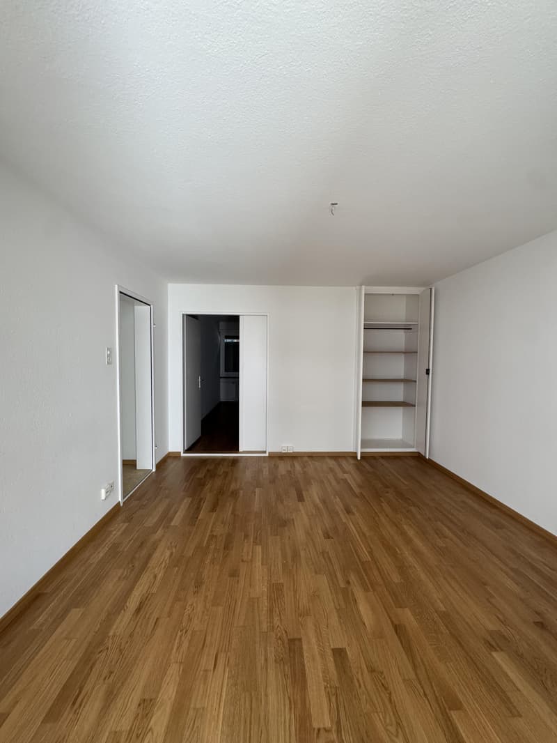2.0 Zimmerwohnung in Zürich Wiedikon (befristet) (2)