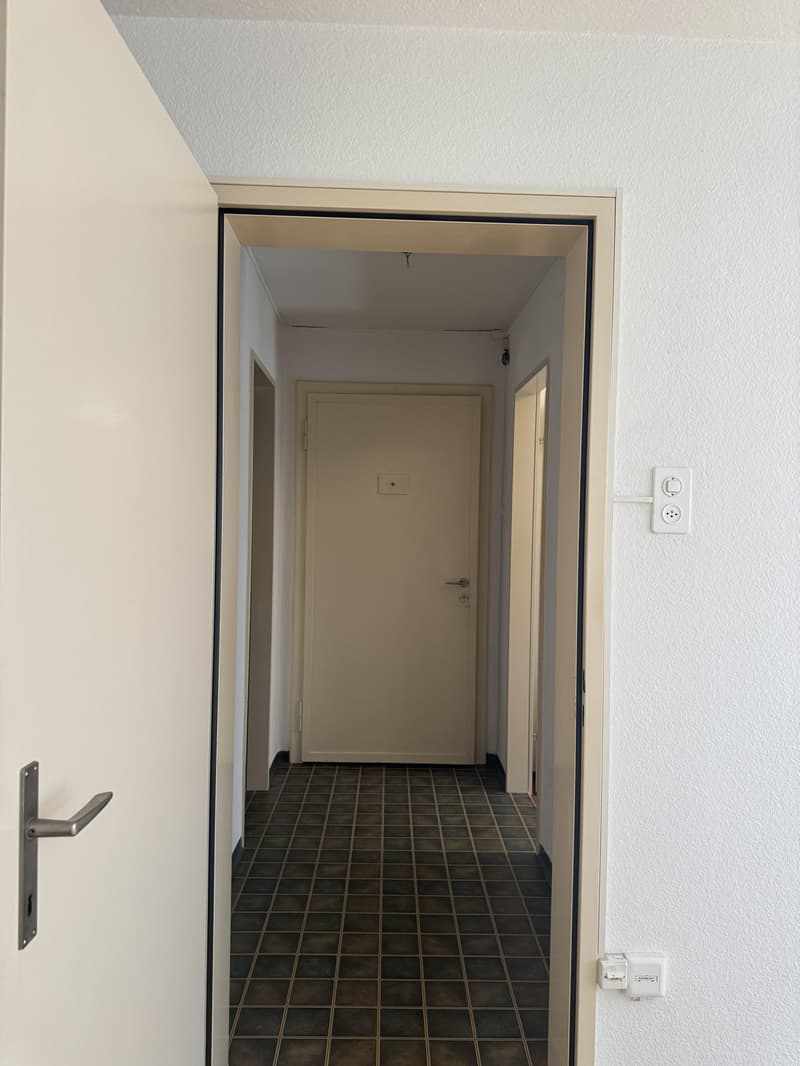 2.0 Zimmerwohnung in Zürich Wiedikon (befristet) (1)
