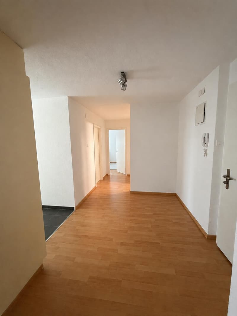 Grosszügig wohnen in Glattbrugg (7)