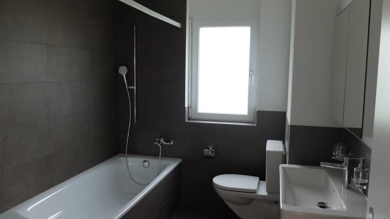 Schöne 3.5-Zimmerwohnung in Gals Ihr neues Zuhause (4)