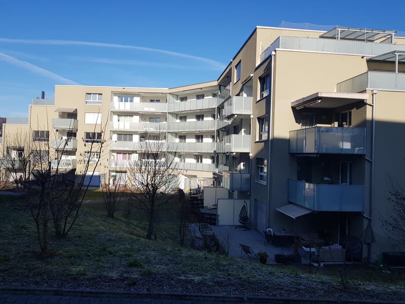 2.5-Zimmer-Wohnung mit Wohlfühlatmosphäre (1)