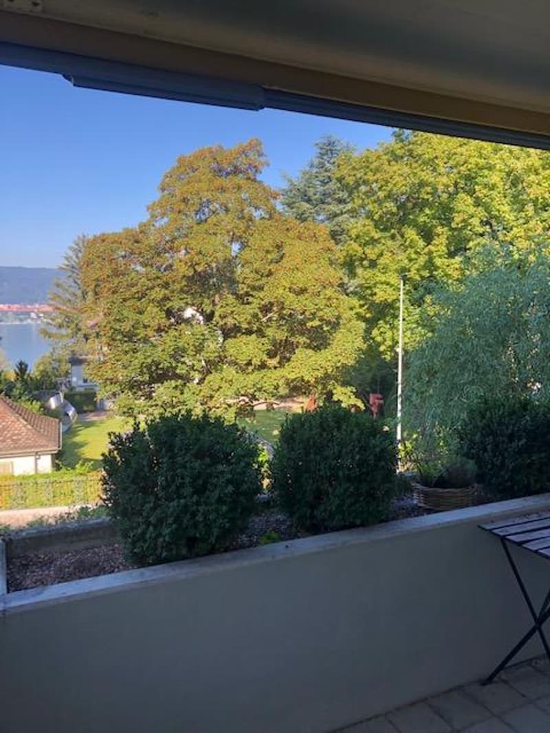 3.5-Zimmerwohnung mit Seeblick (2)