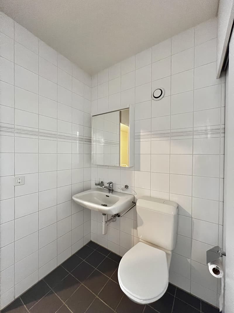 Charmante Maisonettewohnung an zentraler Lage in Bern (7)
