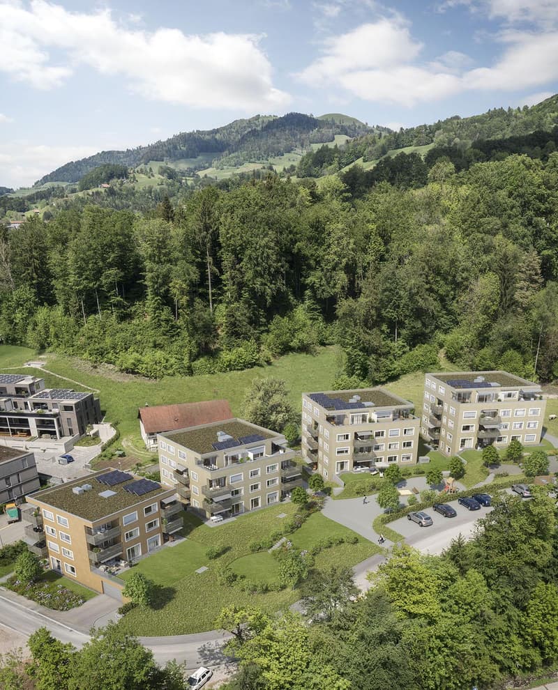 Modern, hell & gemütlich 2.5 Zimmer in Wald ZH (1)