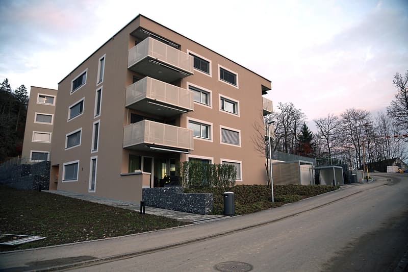Modern, hell & gemütlich 2.5 Zimmer in Wald ZH (2)
