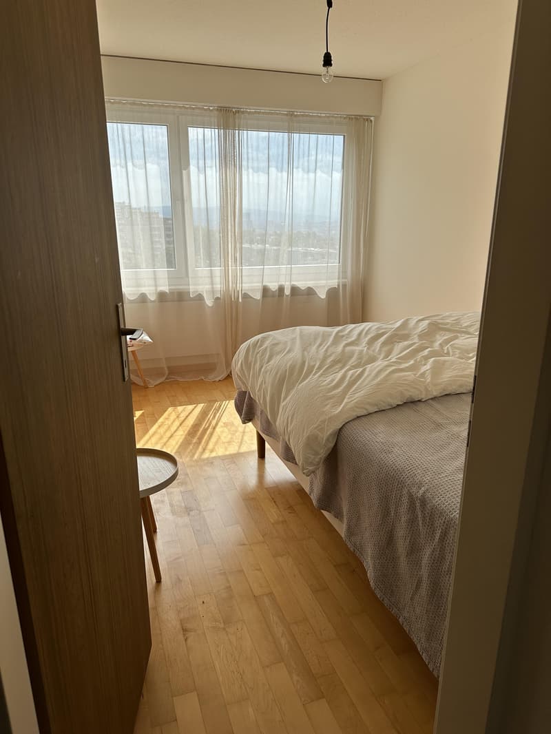 Wohnen inmitten der Rebbergen mit Blick über Zürich (4)